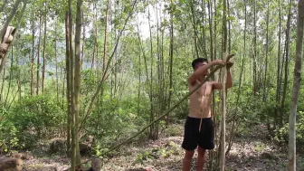 原始技术：建造天然植物小屋