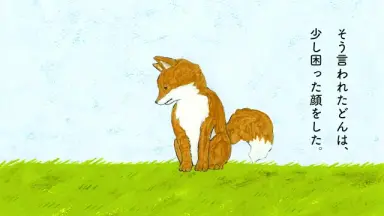 どんぎつね-哔哩哔哩_Bilibili