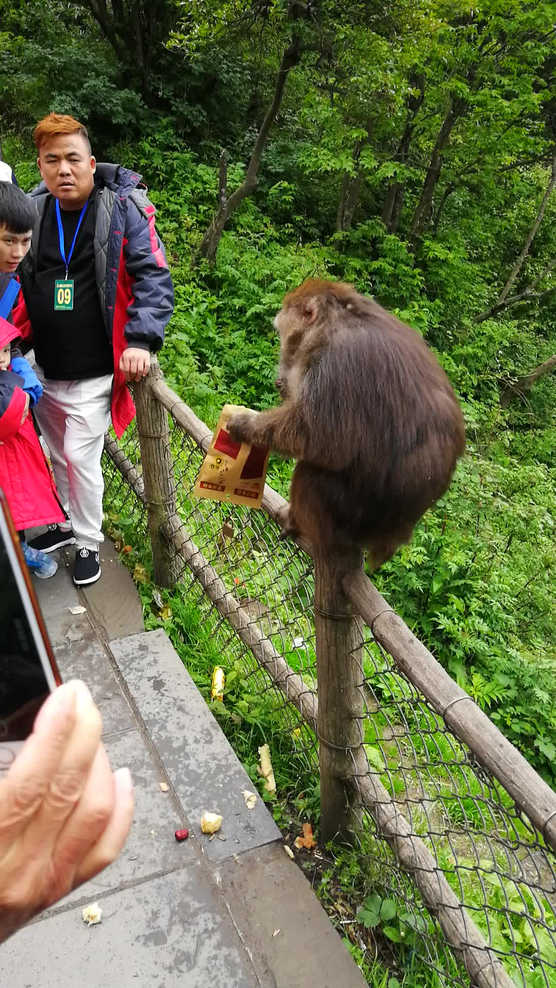 峨眉山猴王真社會