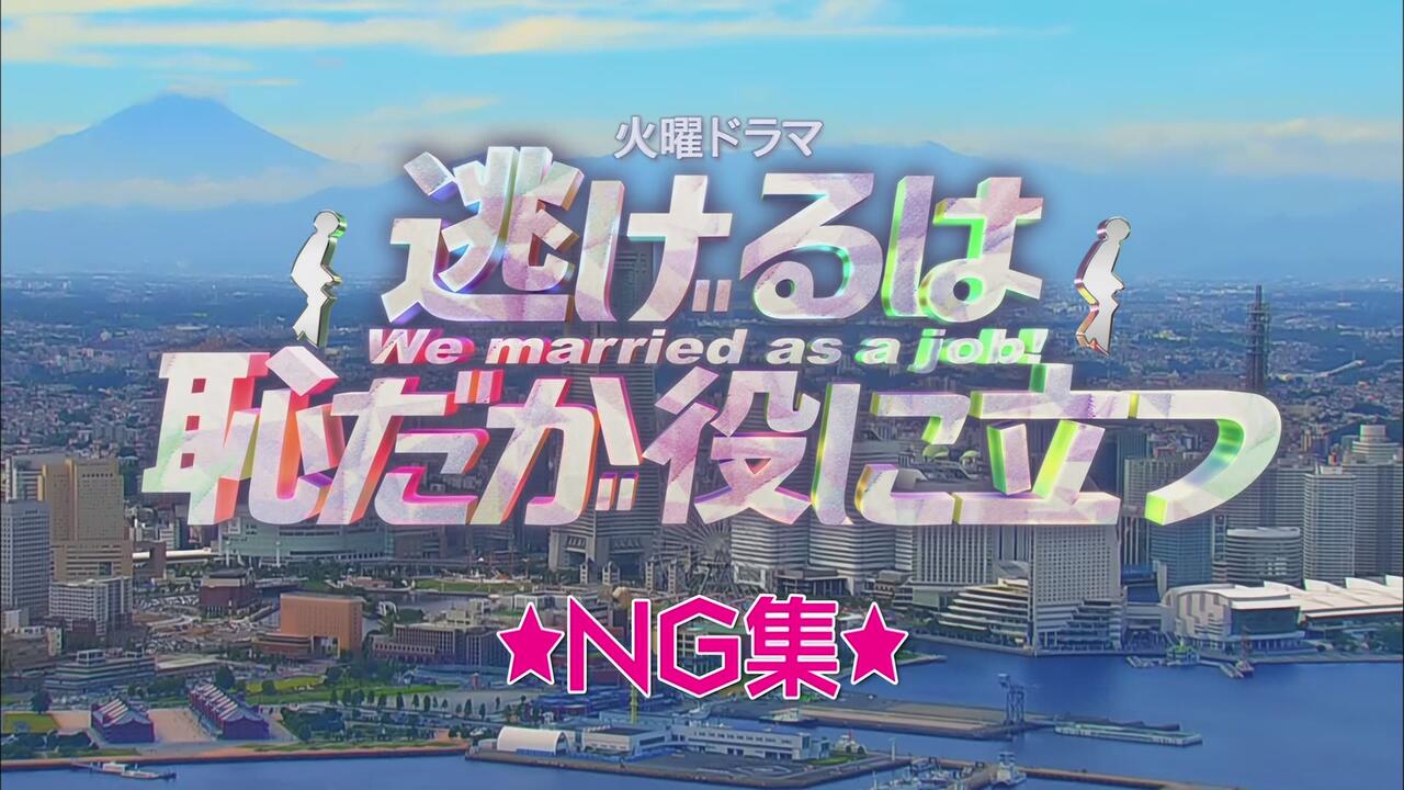逃げるは恥だが役に立つSP「蔵出し! ハプニングNG集」1080p BDRip_哔哩