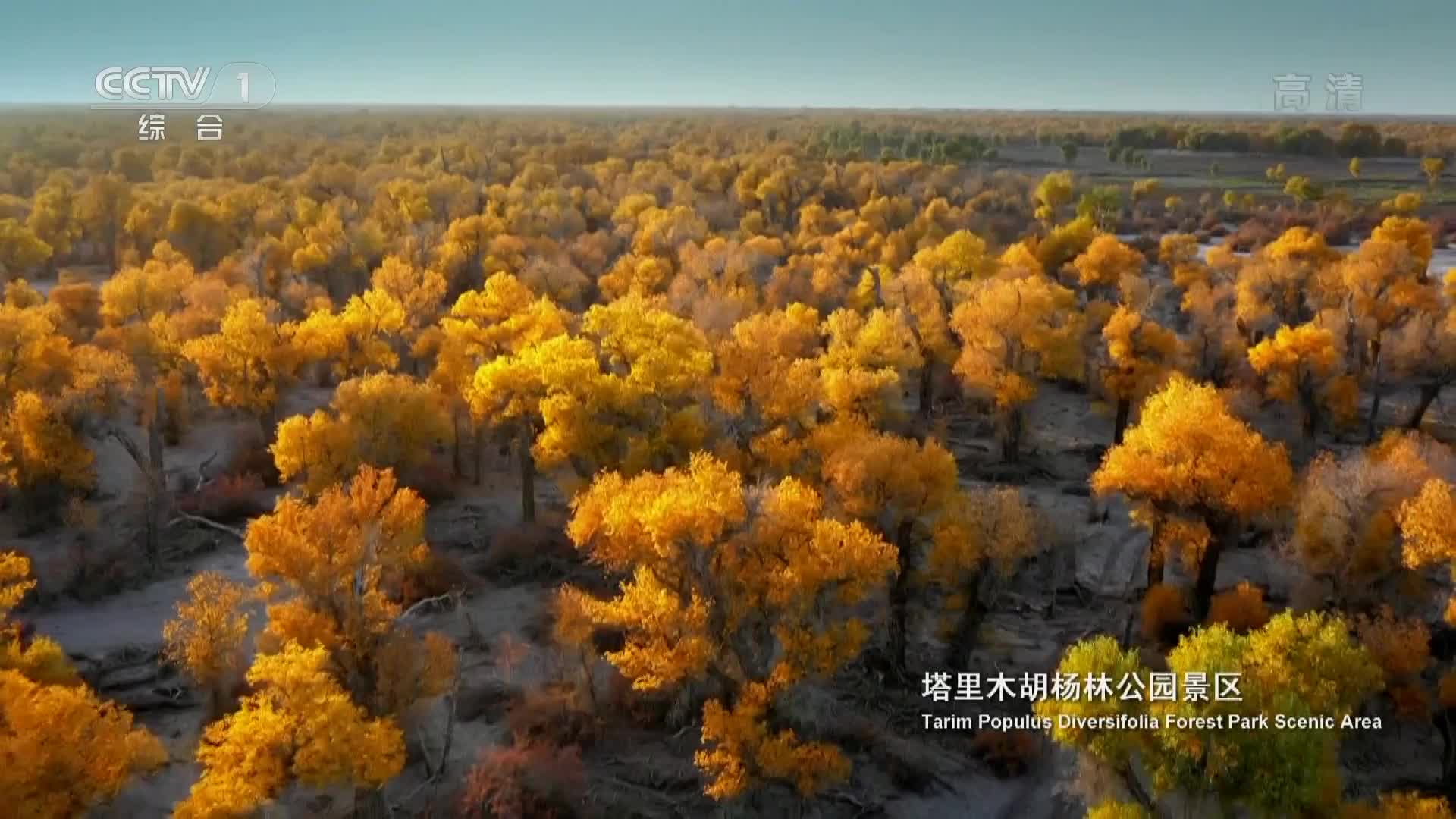 [图][内地广告](2018)新疆是个好地方(16：9)