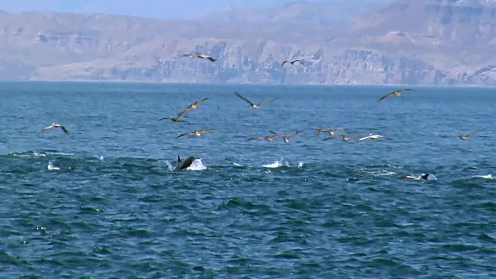 鸟瞰地球第1集-纪录片-全集-高清正版在线观看-bilibili-哔哩哔哩