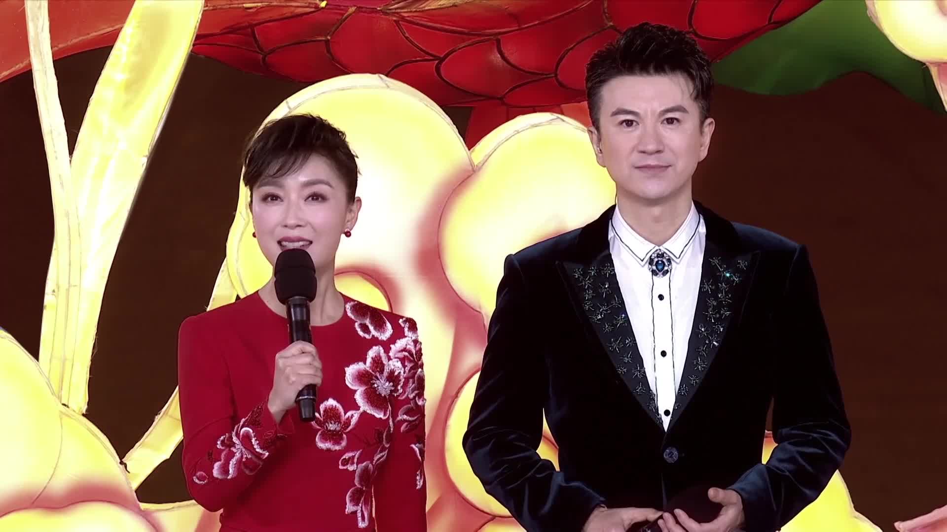 2020河南春晚 龙腾黄河中国年更多精彩 2-综艺-全集-高清在线观看