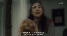 醉乡民谣 精彩看点 5