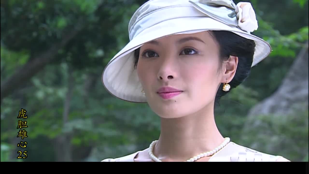虎胆雄心第25集-电视剧-全集-高清正版在线观看-bilibili-哔哩哔哩